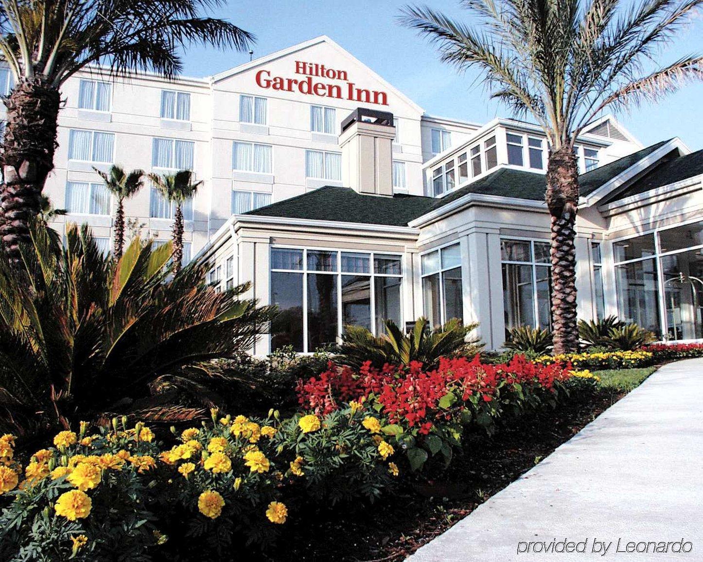 Hilton Garden Inn New Braunfels Buitenkant foto